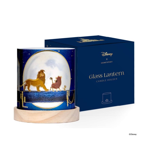 Photophore lanterne "le roi lion"