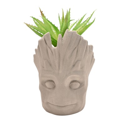 Pot Groot avec plante...